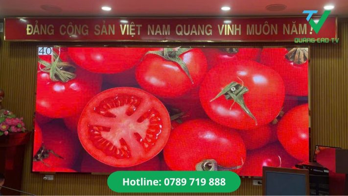 màn hình led trong nhà