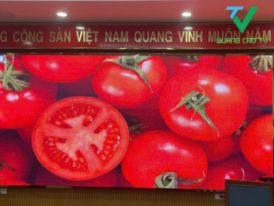 màn hình led P2.0 cho UBND QUẬN ĐỐNG ĐA